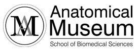 Museum